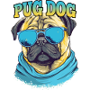 Cool Pug dog
