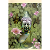 Buddha im Lotus