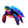 Chemise Tortle Maui