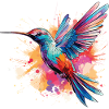 Exotischer Kolibri: Leuchtende Farbwelten