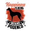 Podenco makes happy Spanish greyhound