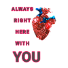 Anatomical heart design