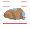 Capybara Capybara Capybaras Cadeau