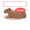 Capybara Capybara Capybaras Cadeau