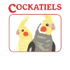Cockatiel Bird Bird Owner Gift