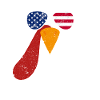 Cool Turkey Face Sunglasses American