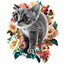 Katze
