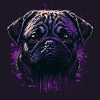 Creepy Pug