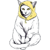 Kroki the Hooded Cat