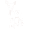 Rehkitz