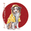 Japanese Australian Shepherd Raincoat