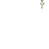 Guinée équatoriale