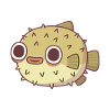Cute Puffer Fish