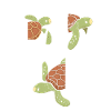 Sea Turtle Tortoise Love