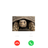 Havskildpadde skildpadde telefon display