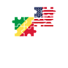 Congo USA Flag Américano-Congolais