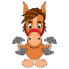 PFERD - PONY - FITNESS