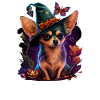 Chihuahua Costume d'Halloween - Citrouille