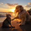 hund und katze