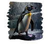 Penguins realistic penguin