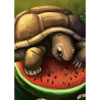 Wassermelonen-Schildkröte