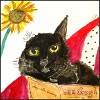 Vincent's Cat