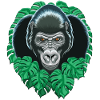 Gorilla head
