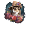 Chihuahua - Dame Anglaise Robe Chien