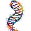DNA molecule