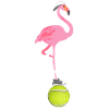 Tennis Flamingo