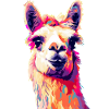 Lama