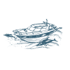 Motorboot