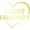 I love falconry