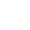 éclosion d'une fleur blanche