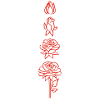 Blooming of a red flower