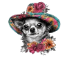 Chihuahua - Dame Anglaise Robe Chien