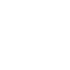 Labrador Retriever Papa