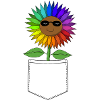Sommenblume dans votre poche