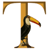 Letter T, Toucan