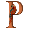 Letter P, name, letter P