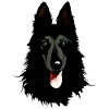 Groenendael