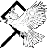 White Pale Raven