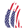 Avions drapeau américain