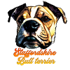 Staffordshire Bull terrier