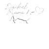 Hund Dackel Hundebesitzer Geschenkidee