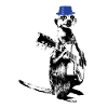 Meerkat Guitarplayer Blue Hat