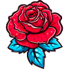 Schöne rote Rose