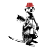 Suricate Guitariste Red Hat