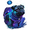 cute pug in mystical nature