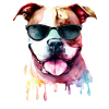 Pitbull